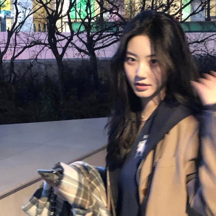 夜之女（电影）